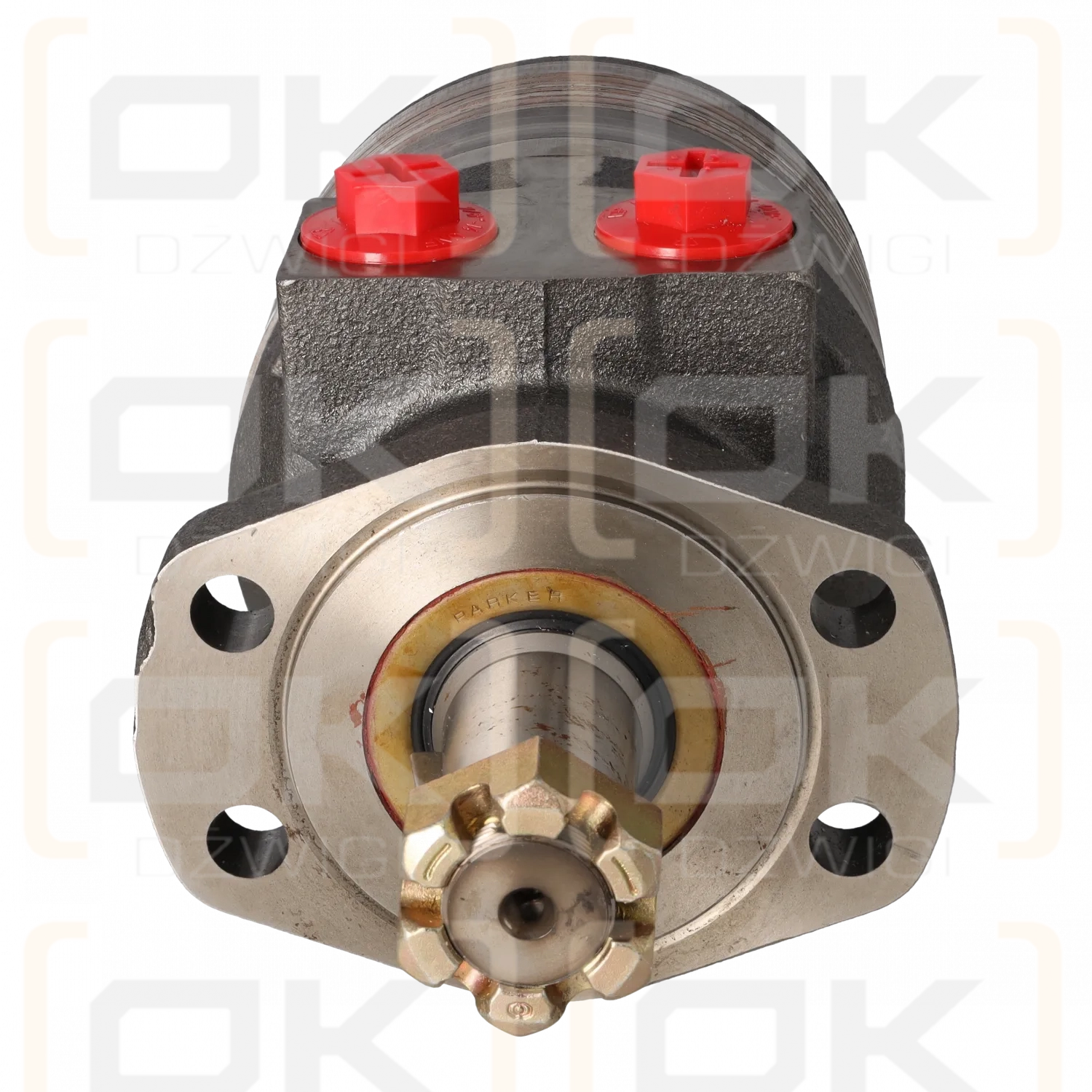 Silnik hydrauliczny Parker TF0280MV080AABP